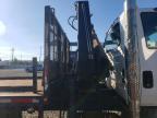 2010 International 4000 4300