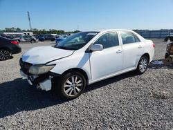 2009 Toyota Corolla le for sale in Thonotosassa, FL