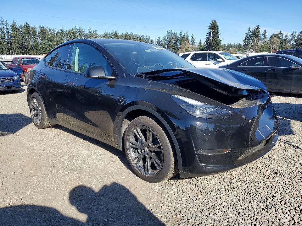 2025 Tesla Model y