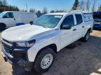 2023 Chev Colorado