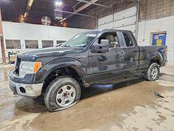 2010 Ford F150 en venta en Blaine, MN