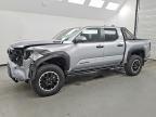 2025 Toyota Tacoma TRD OFF-ROAD HV