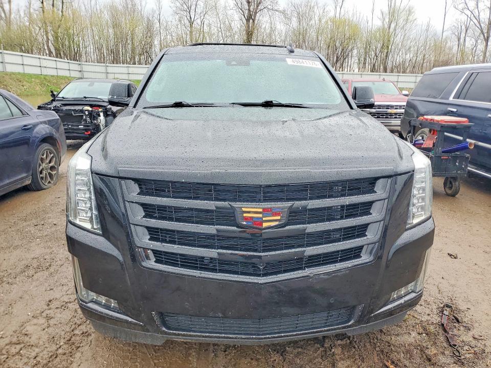 2019 Cadillac Escalade esv Luxury