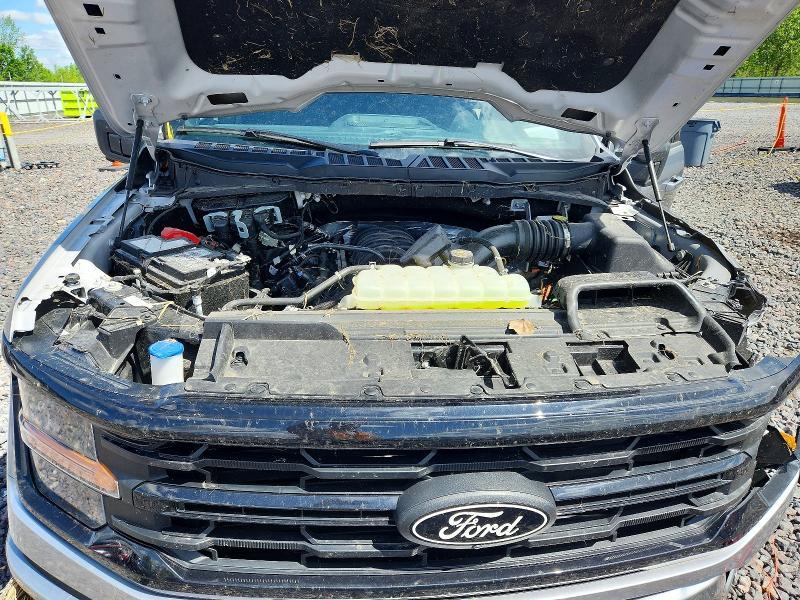 2025 Ford F150 XLT