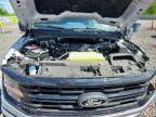 2025 Ford F150 XLT