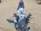 2025 Cf Moto 300SS