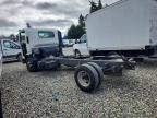 2025 Isuzu NPR HD Truck Cab AND Chassis