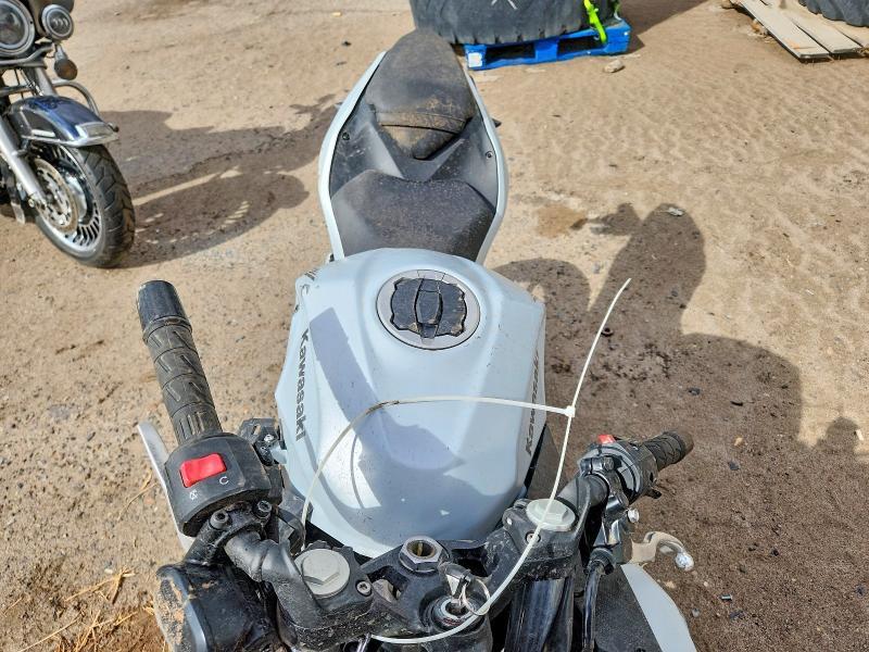 2025 Kawasaki EX500