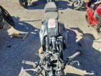 2024 Honda CBR300