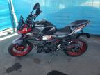 2024 Kawasaki ER500