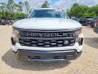 2023 Chevrolet Silverado C1500
