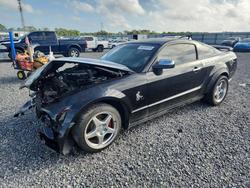 2008 Ford Mustang gt for sale in Thonotosassa, FL