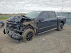 2024 Ford F150 XLT