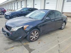 Honda salvage cars for sale: 2008 Honda Accord exl