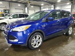 2015 Ford Escape se for sale in Ham Lake, MN