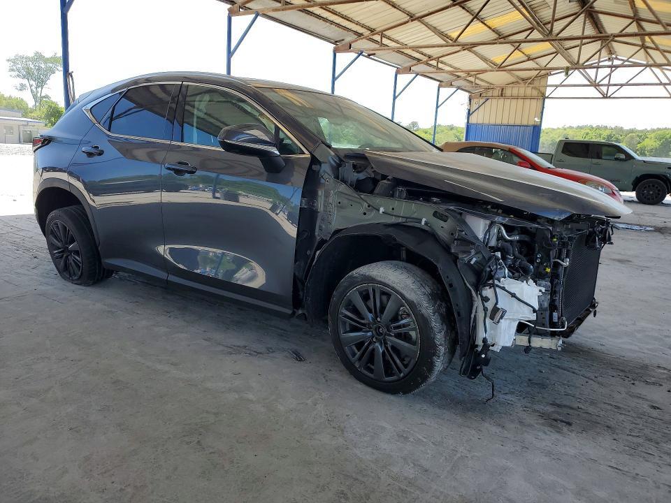 2025 Lexus Nx 350 Luxury