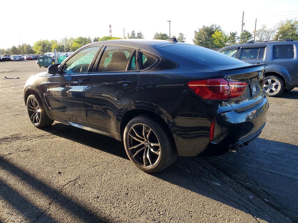 2015 BMW X6 m