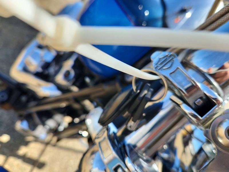 2004 Harley-Davidson Fxstdi