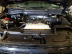 2024 Ford F150 XLT