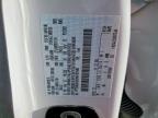 2024 Ford F150 STX