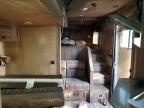 2019 Lako TA C8415 Horse Trailer