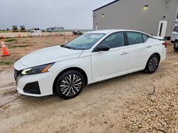2025 Nissan Altima sv for sale in Taylor, TX