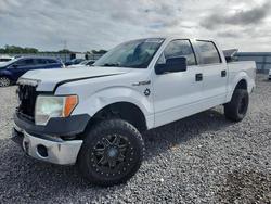 2014 Ford F150 Supercrew en venta en Thonotosassa, FL