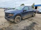 2024 Ford F150 XLT