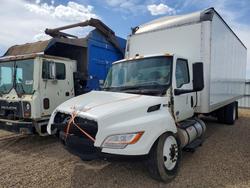 Salvage trucks for sale at Amarillo, TX auction: 2023 International MV607 BOX Truck