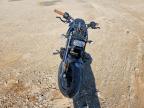 2021 Harley-Davidson RH1250 S