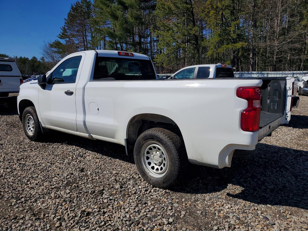 2019 Chevrolet Silverado C1500