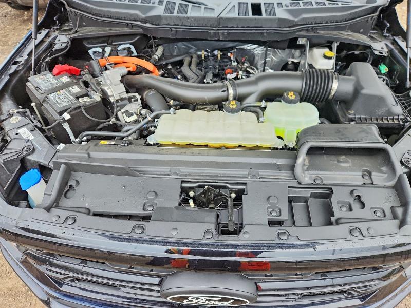 2025 Ford F150 XLT
