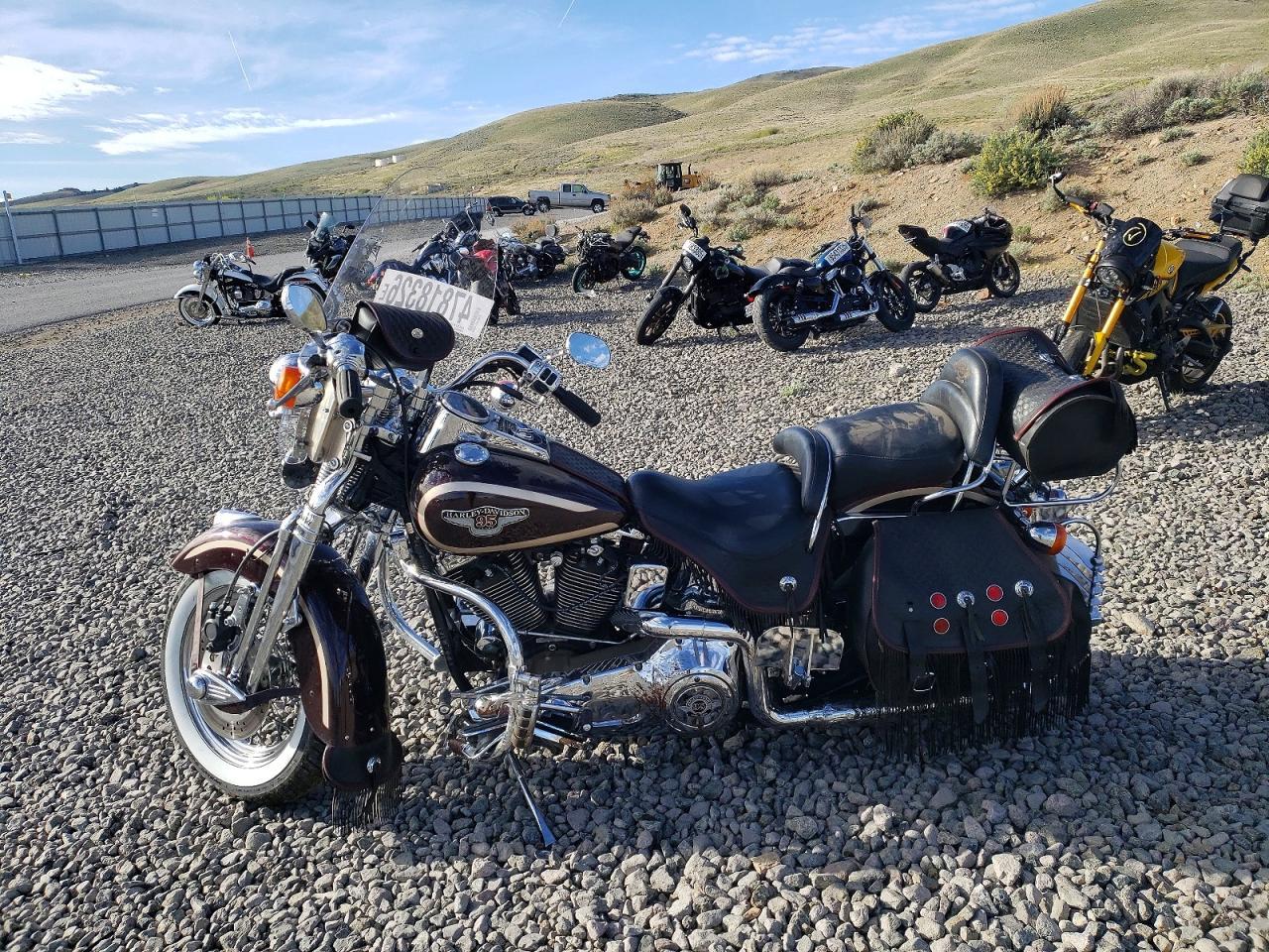 1998 Harley-Davidson Flsts Anniversary
