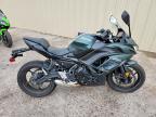 2025 Kawasaki EX650 P
