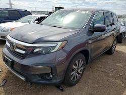 2019 Honda Pilot exl for sale in Elgin, IL
