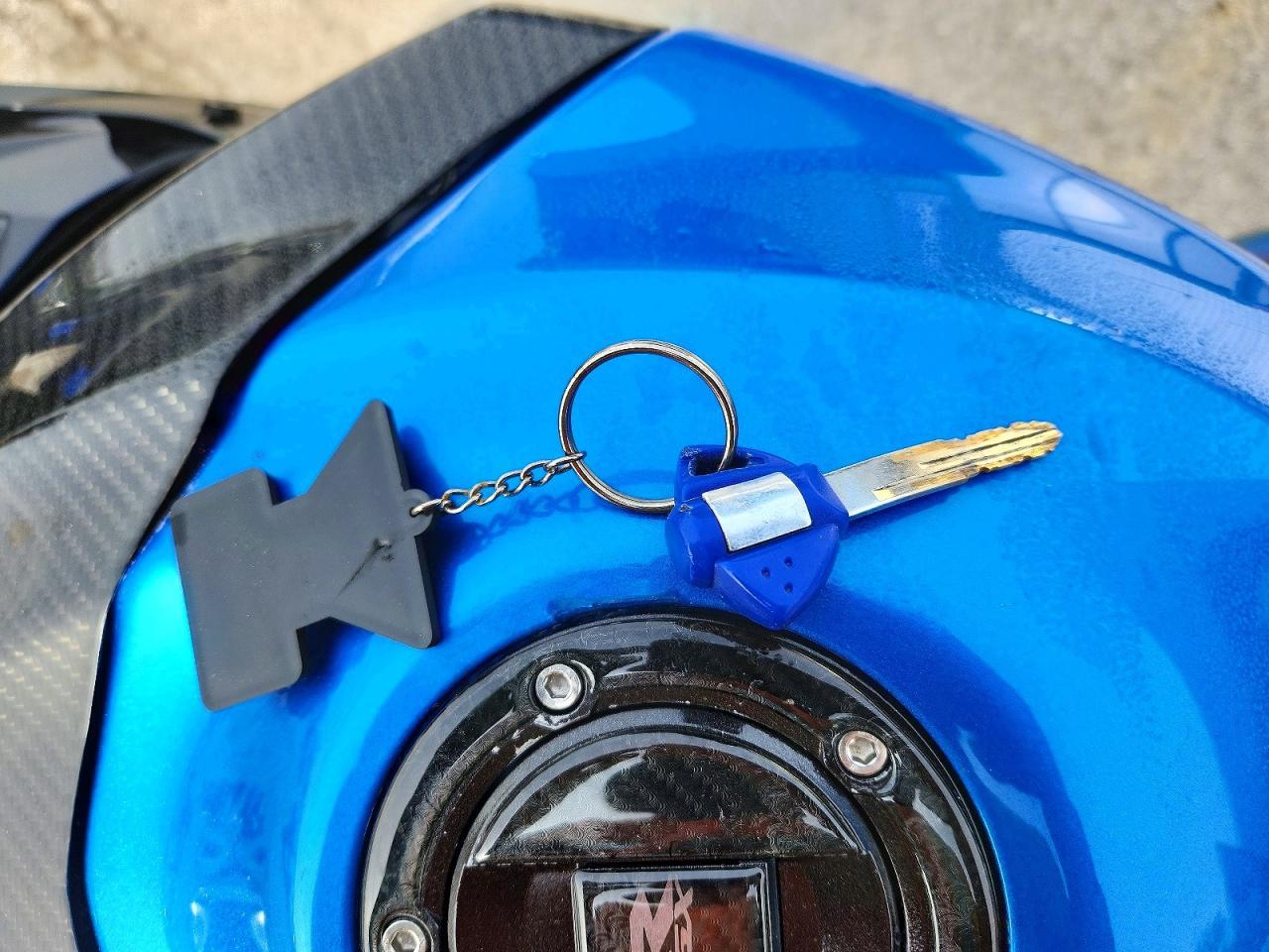 2009 Suzuki GSX-R1000