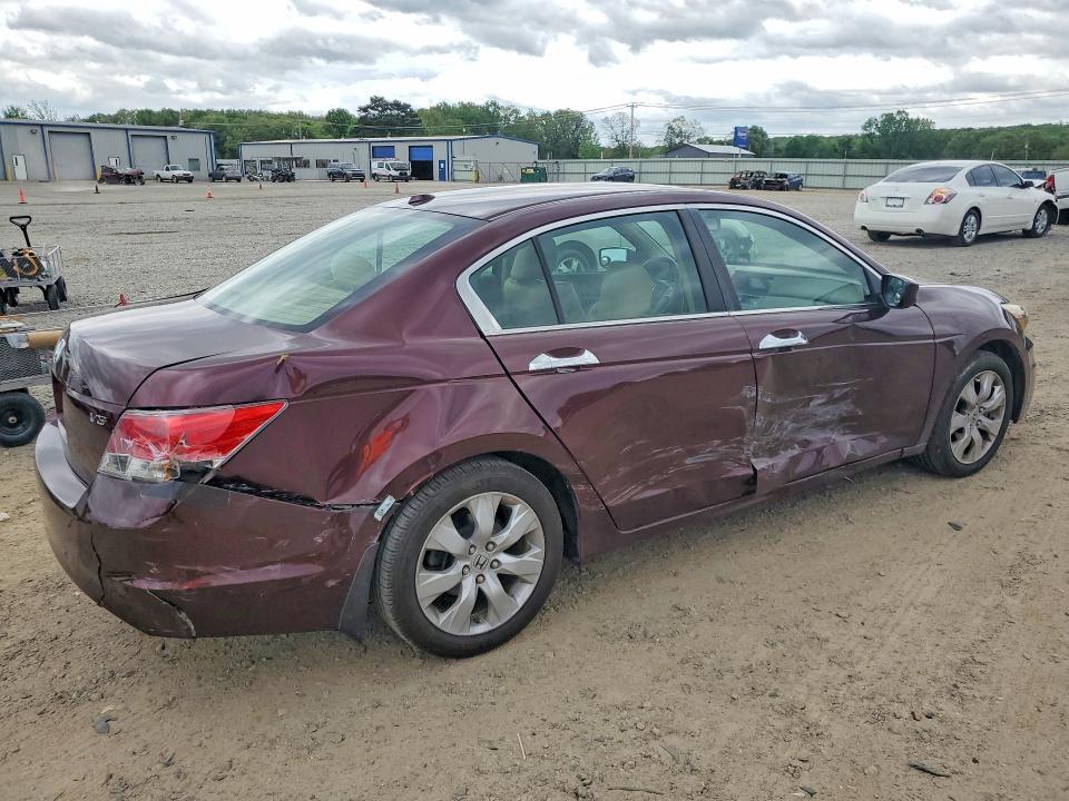2010 Honda Accord exl