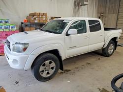 2010 Toyota Tacoma V6 en venta en York Haven, PA