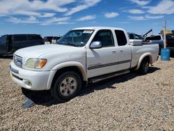 2004 Toyota Tundra Access cab SR5 for sale in Amarillo, TX