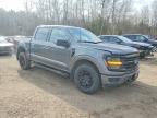 2025 Ford F150 XLT