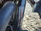 2025 Harley-Davidson Fxlrst