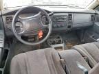 2001 Dodge Dakota Quattro