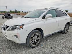 Lexus Rx 350 salvage cars for sale: 2013 Lexus Rx 350