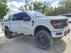 2024 Ford F150 XLT