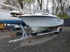 1986 7wyc Boat-Boat