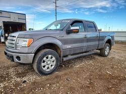 Salvage trucks for sale at Bismarck, ND auction: 2013 Ford F150 Supercrew