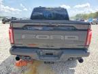 2025 Ford F150 Raptor