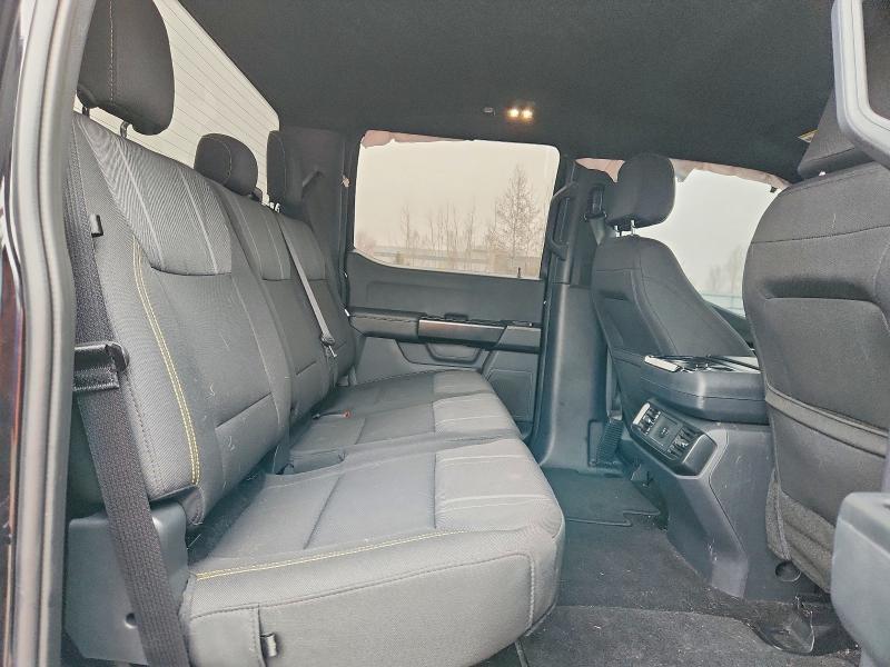 2025 Ford F150 STX