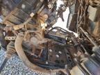 2023 Polaris RZR XP 1000-Utility Vehicle