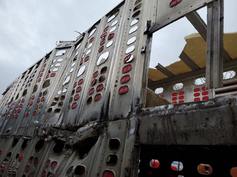 2015 Wilson Trailer